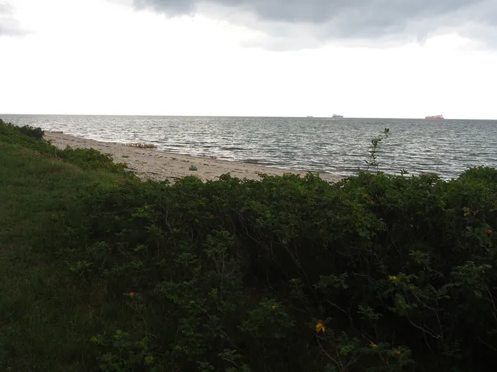 Halshuisene + Enebaerodde Beach (Denemarken)